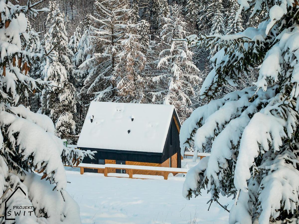 Projekt Swit - Domki Z Prywatna Jacuzzi I Sauna Żywiec エクステリア 写真