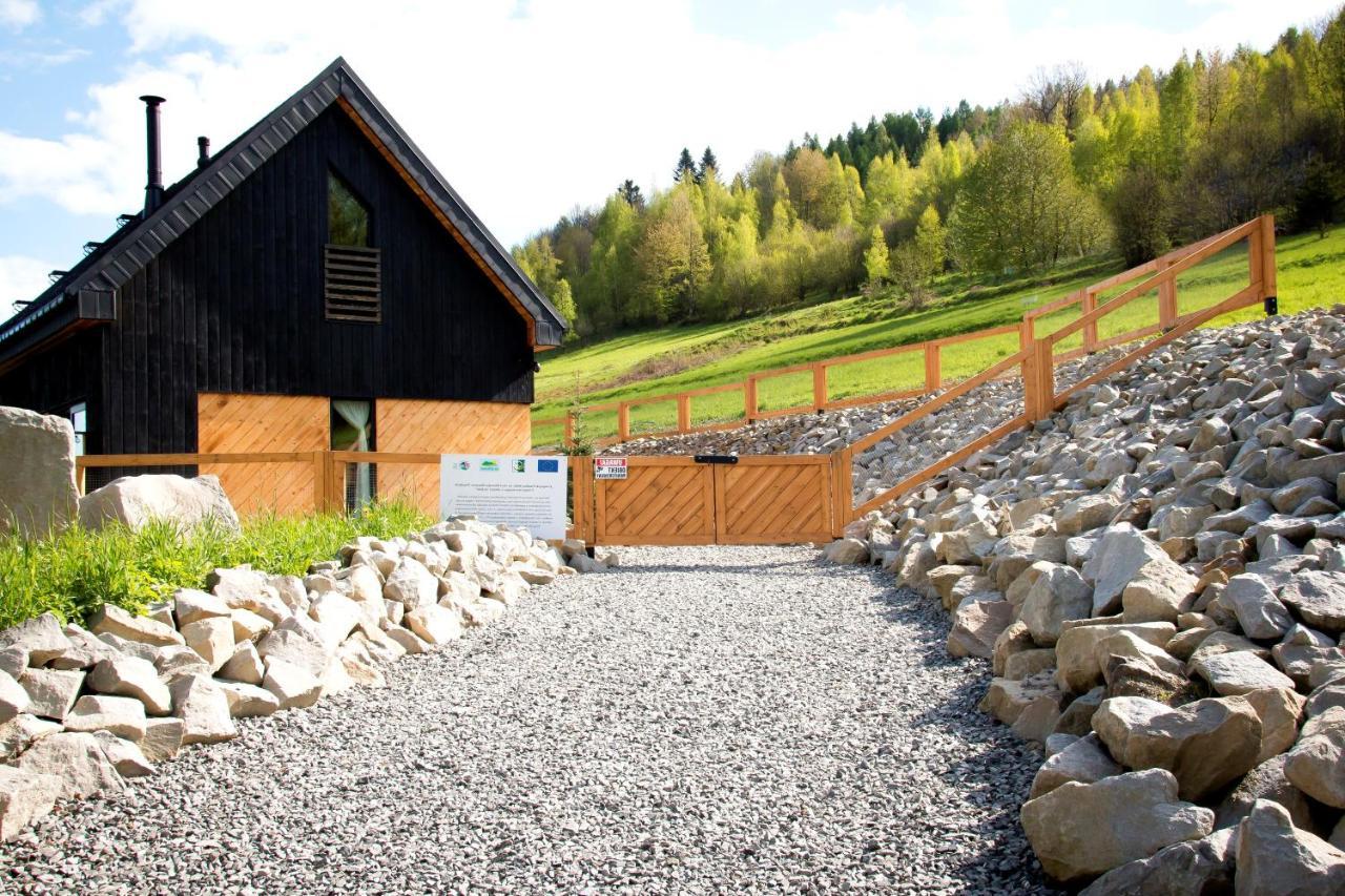 Projekt Swit - Domki Z Prywatna Jacuzzi I Sauna Żywiec エクステリア 写真