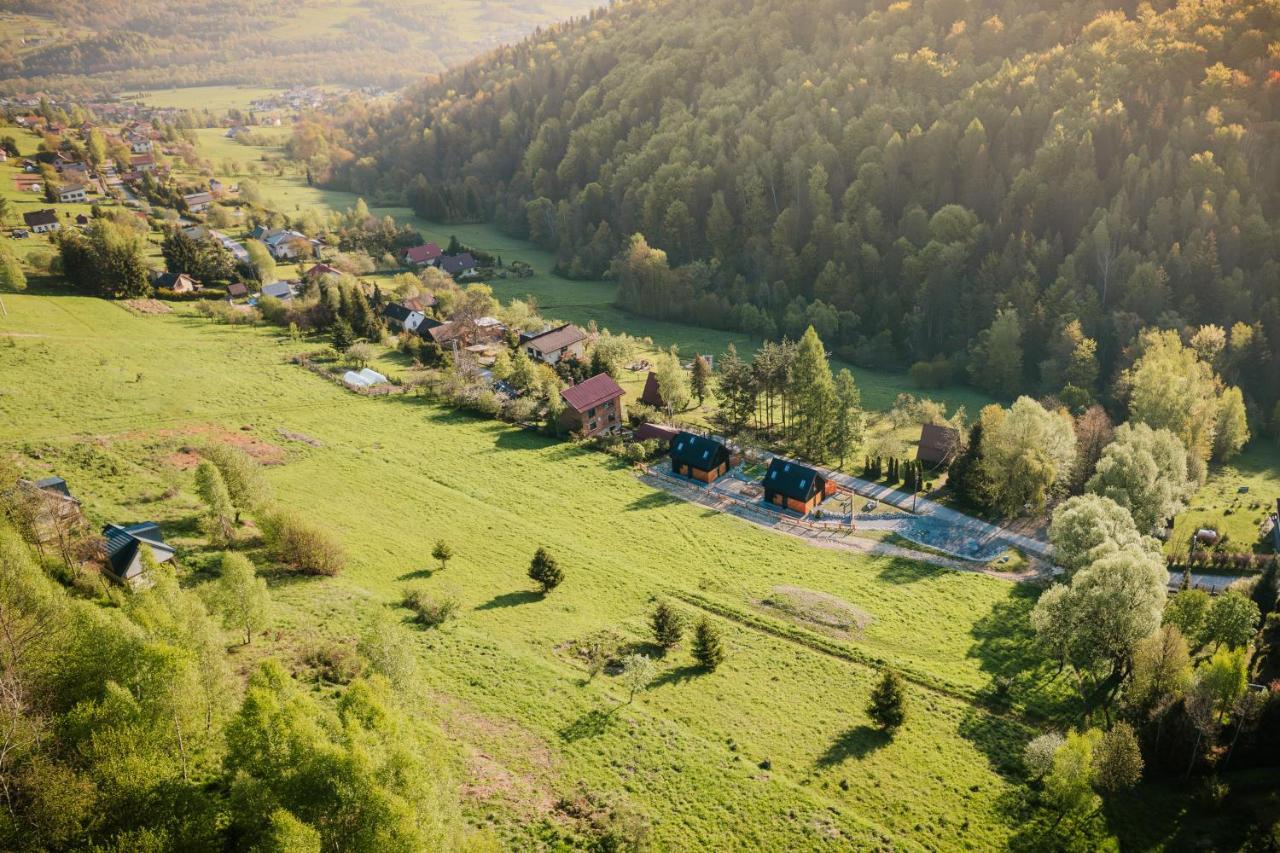 Projekt Swit - Domki Z Prywatna Jacuzzi I Sauna Żywiec エクステリア 写真